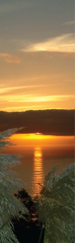 Por do sol